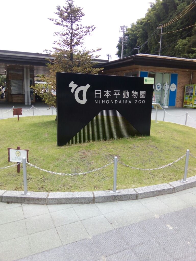 静岡市立日本平動物園にやって来たパート2 のりたかblog 静岡市立日本平動物園にやって来たパート2 のりたかblog