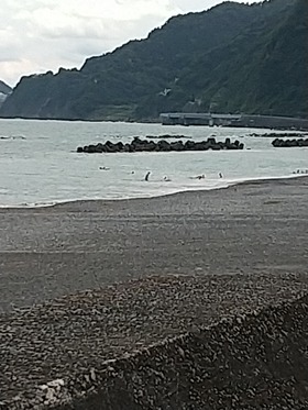 IMG_20210731_135831