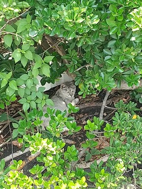 IMG_20210625_111445