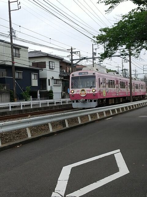 IMG_20220526_141600