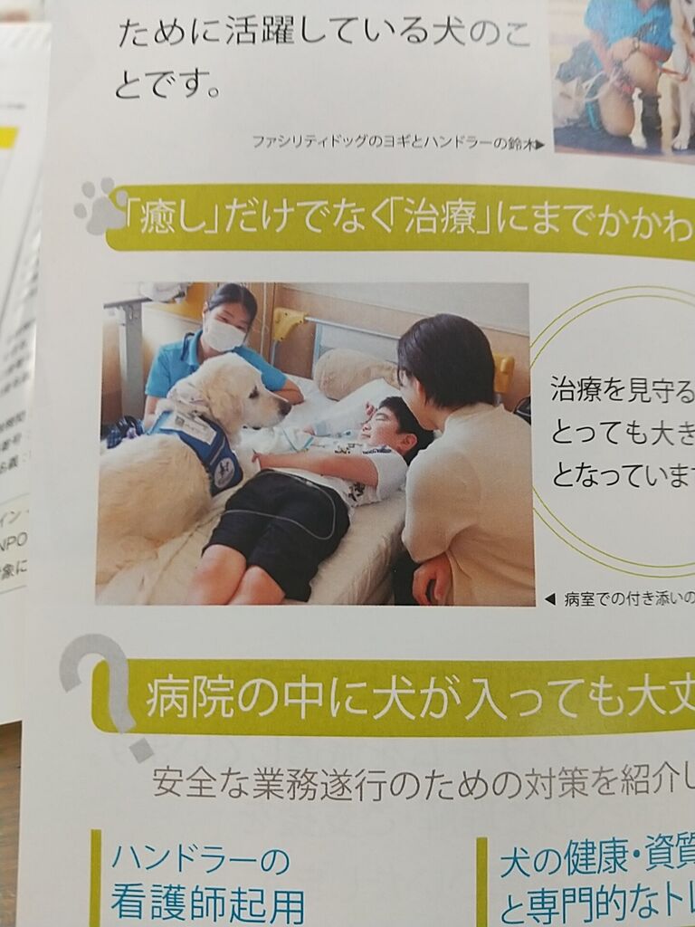 締切 元なでしこジャパン主将 宮間あやさん のりたかblog 締切 元なでしこジャパン主将 宮間あやさん のりたかblog