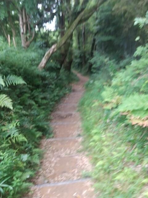 IMG_20220621_112408