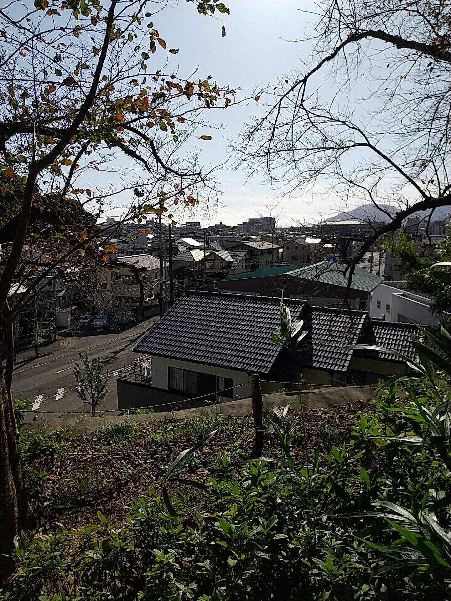 IMG_20211108_130313
