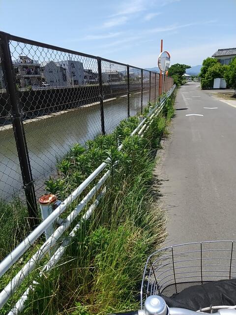 IMG_20220528_130523