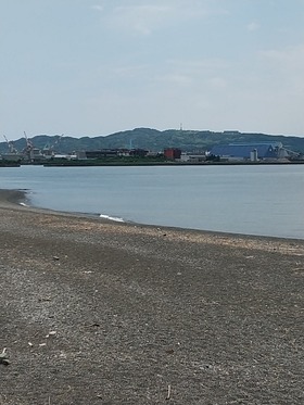 IMG_20210625_115505