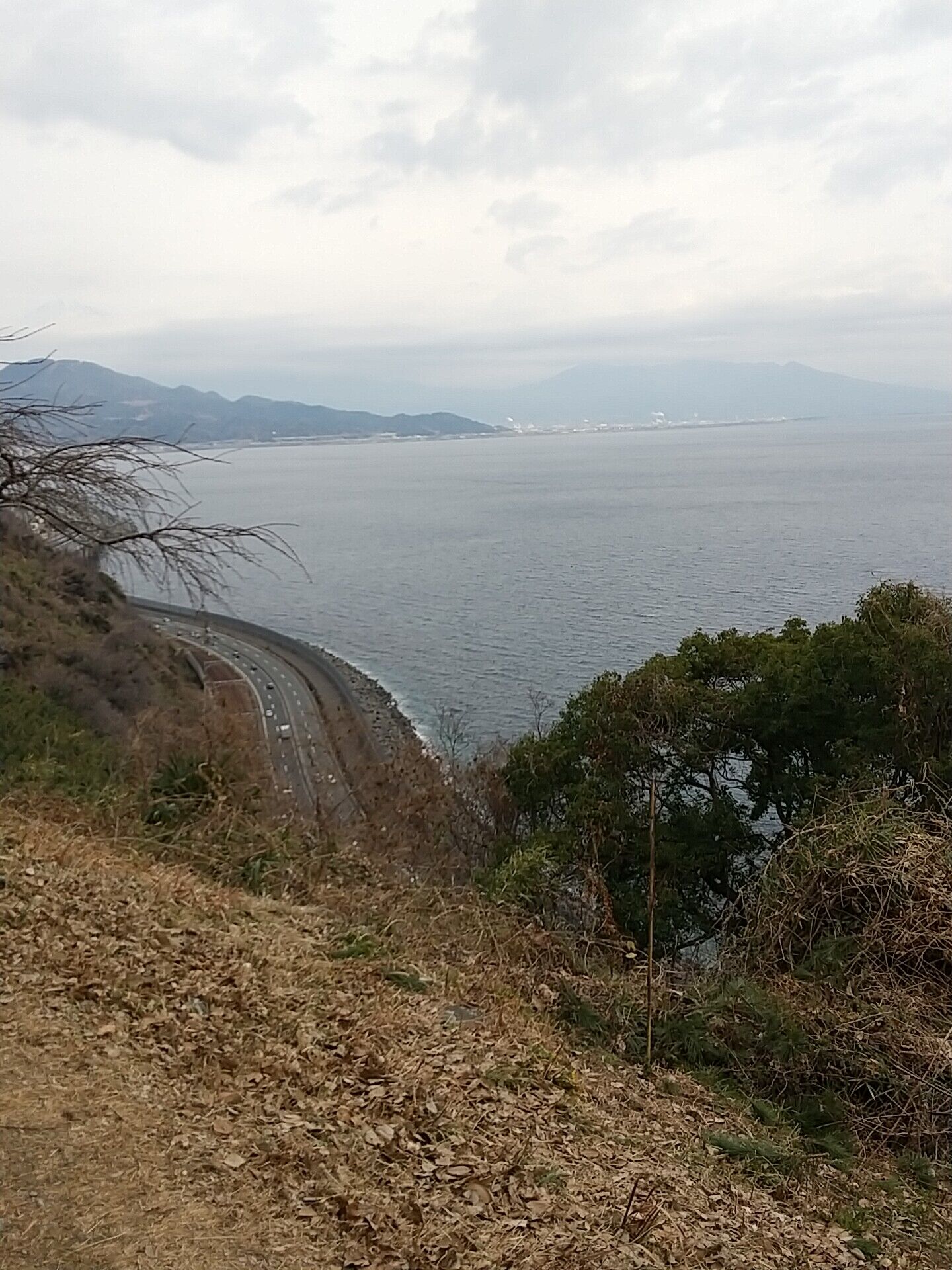 IMG_20220130_111354