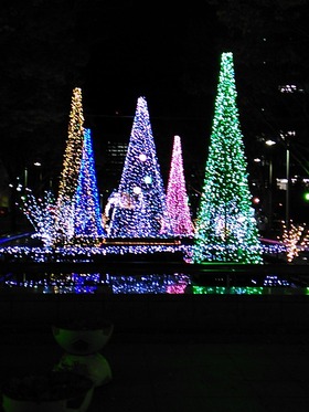 IMG_20161124_194339