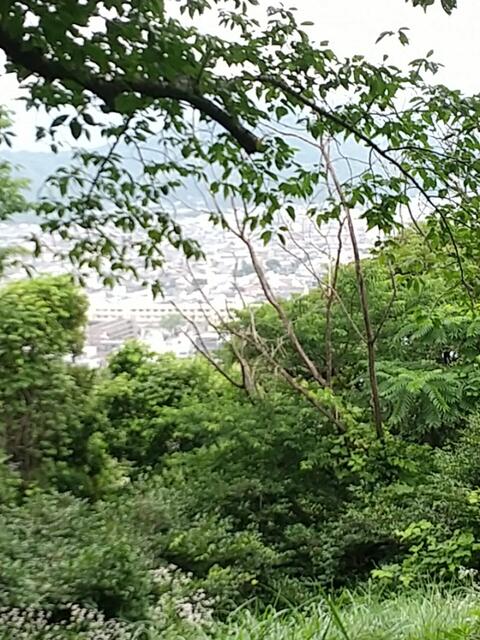 IMG_20220621_094256