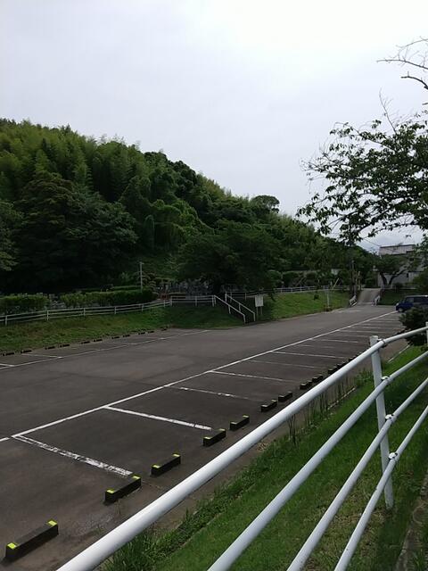 IMG_20220619_141411