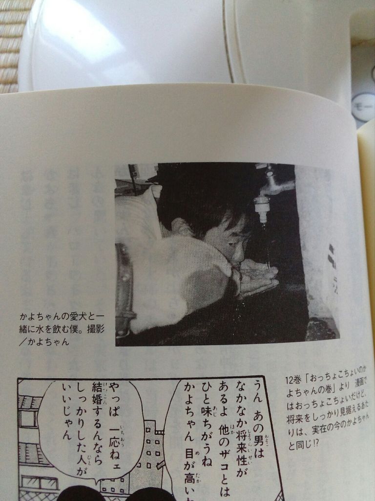 ちびまる子ちゃん はまじの本です のりたかblog ちびまる子ちゃん はまじの本です のりたかblog
