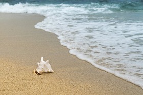 background-3062011__340
