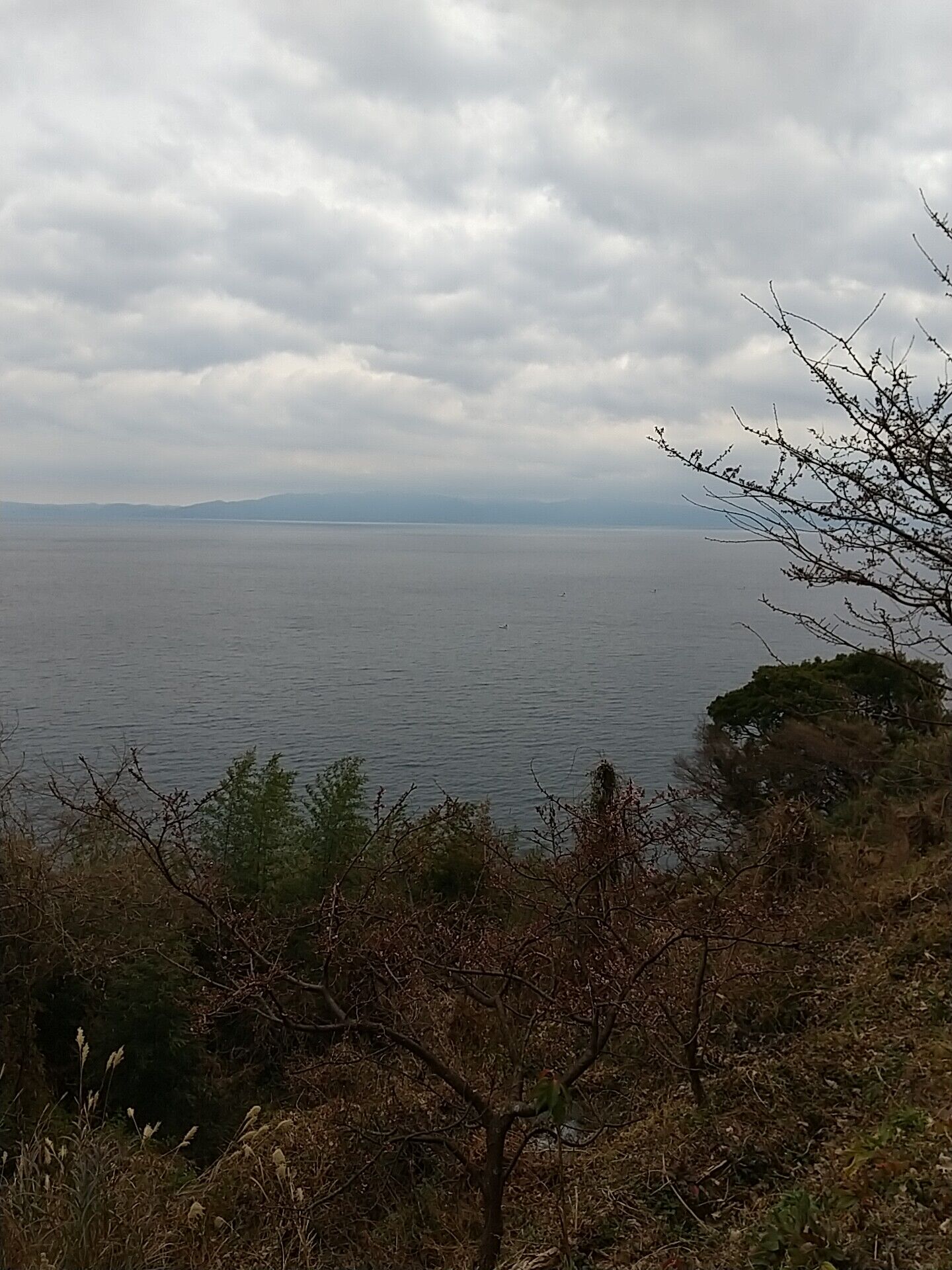 IMG_20220130_112838