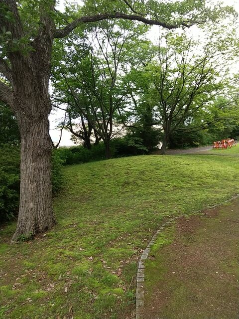 IMG_20220526_134412