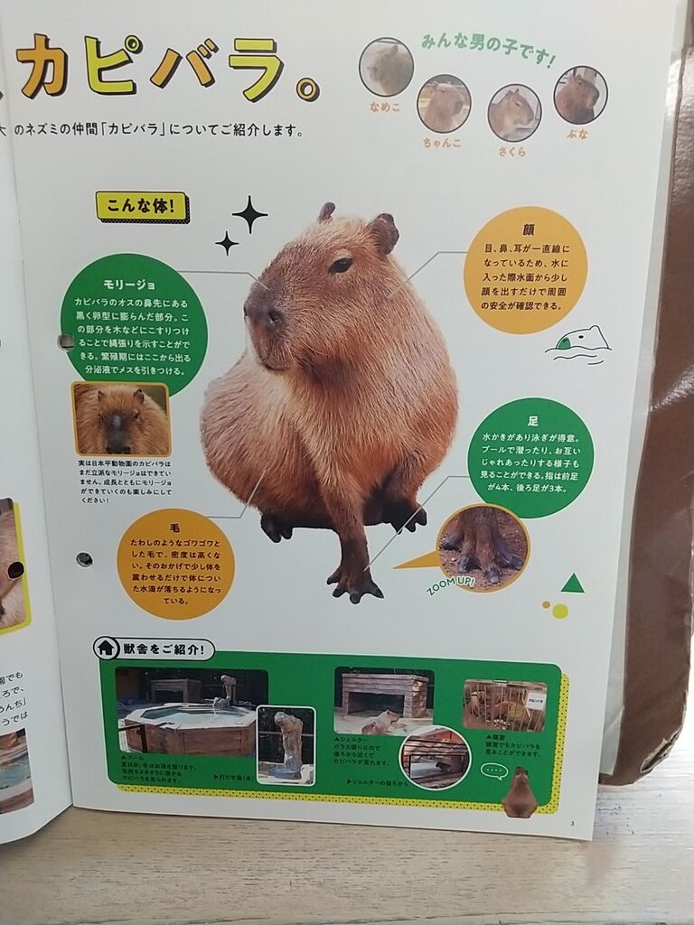 Zooしずおかのお知らせ のりたかblog Zooしずおかのお知らせ のりたかblog
