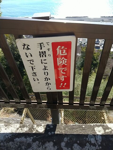 IMG_20230129_100816