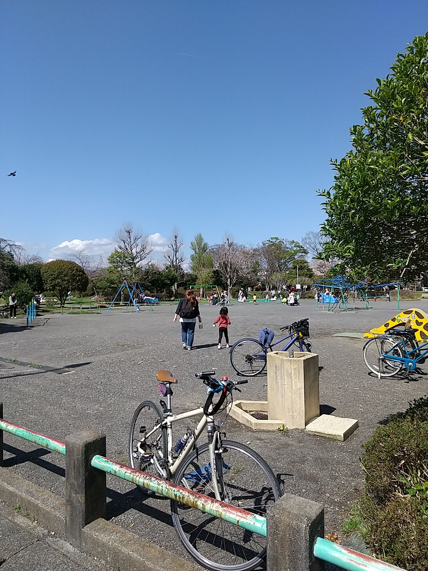 IMG_20220405_134251