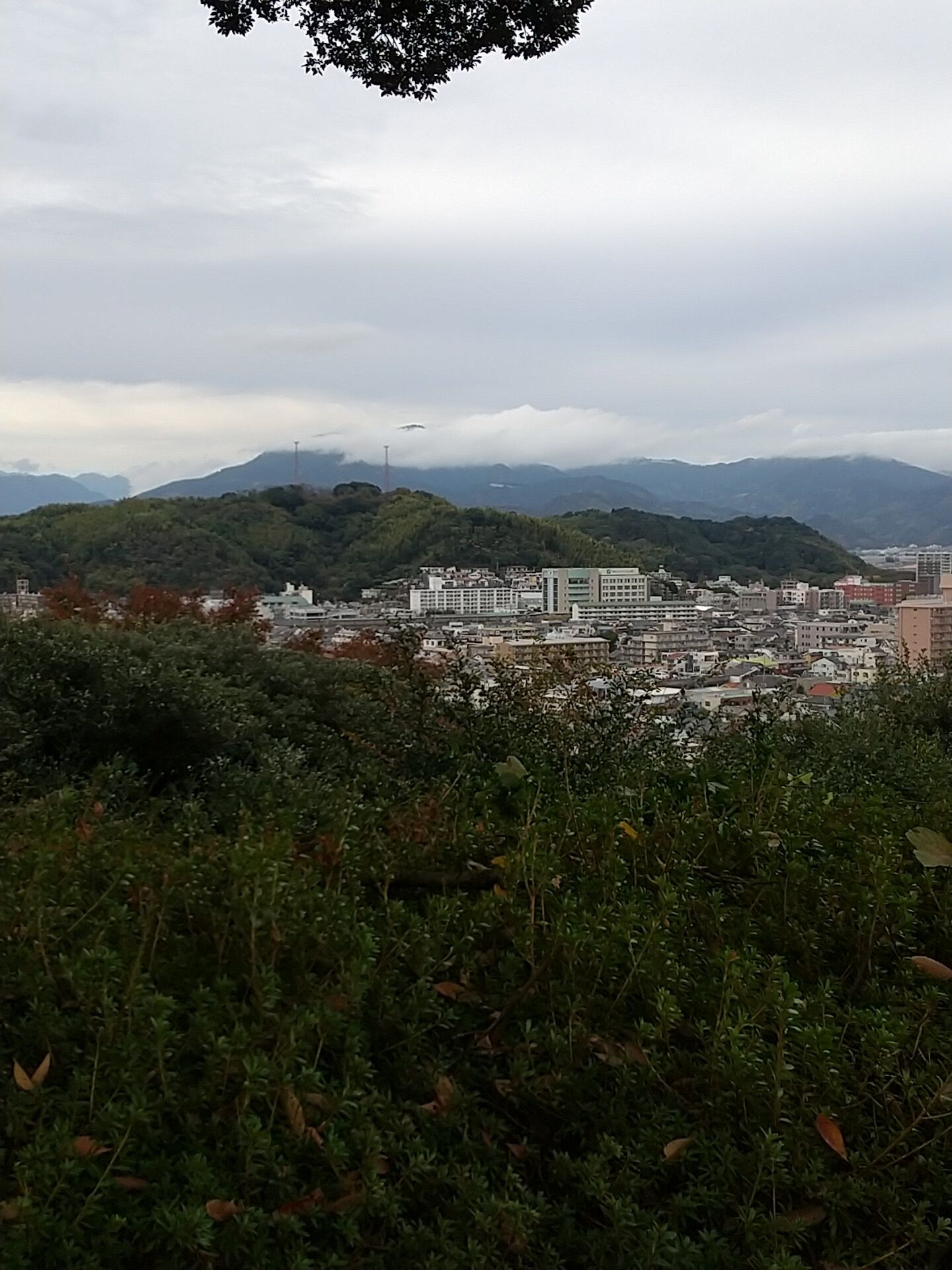 IMG_20221126_135912