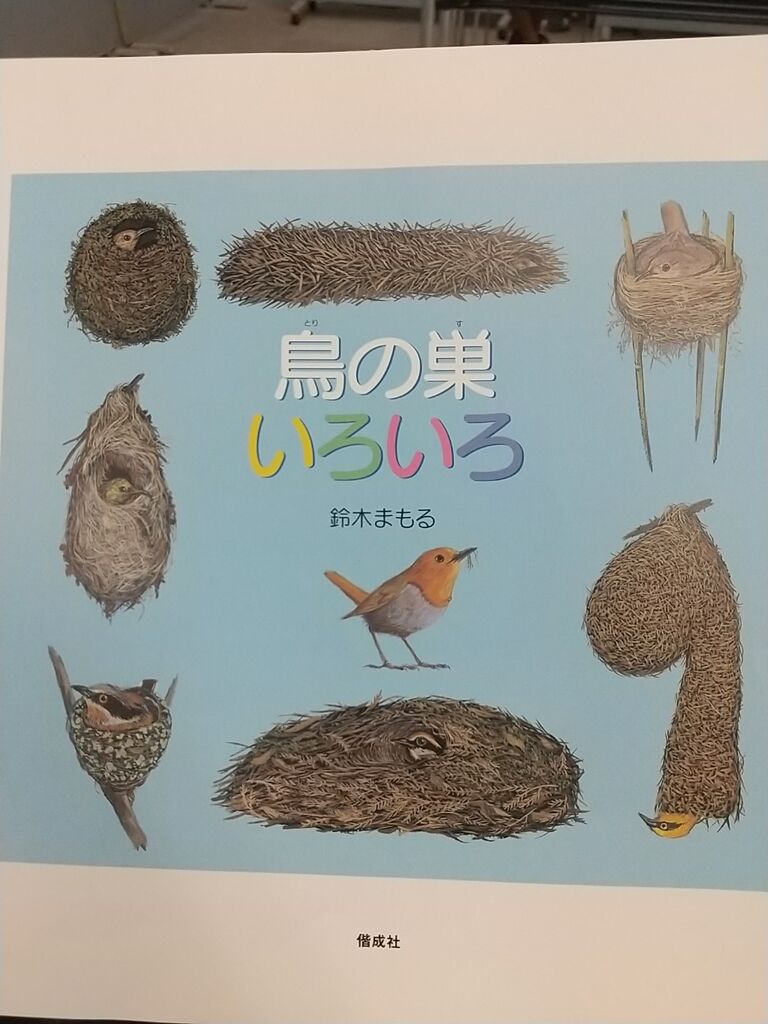 鈴木まもるさん 鳥の巣いろいろ のりたかblog