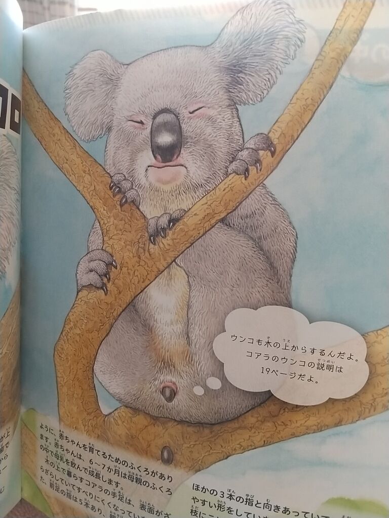 動物のウンコ図鑑だっぺ のりたかblog