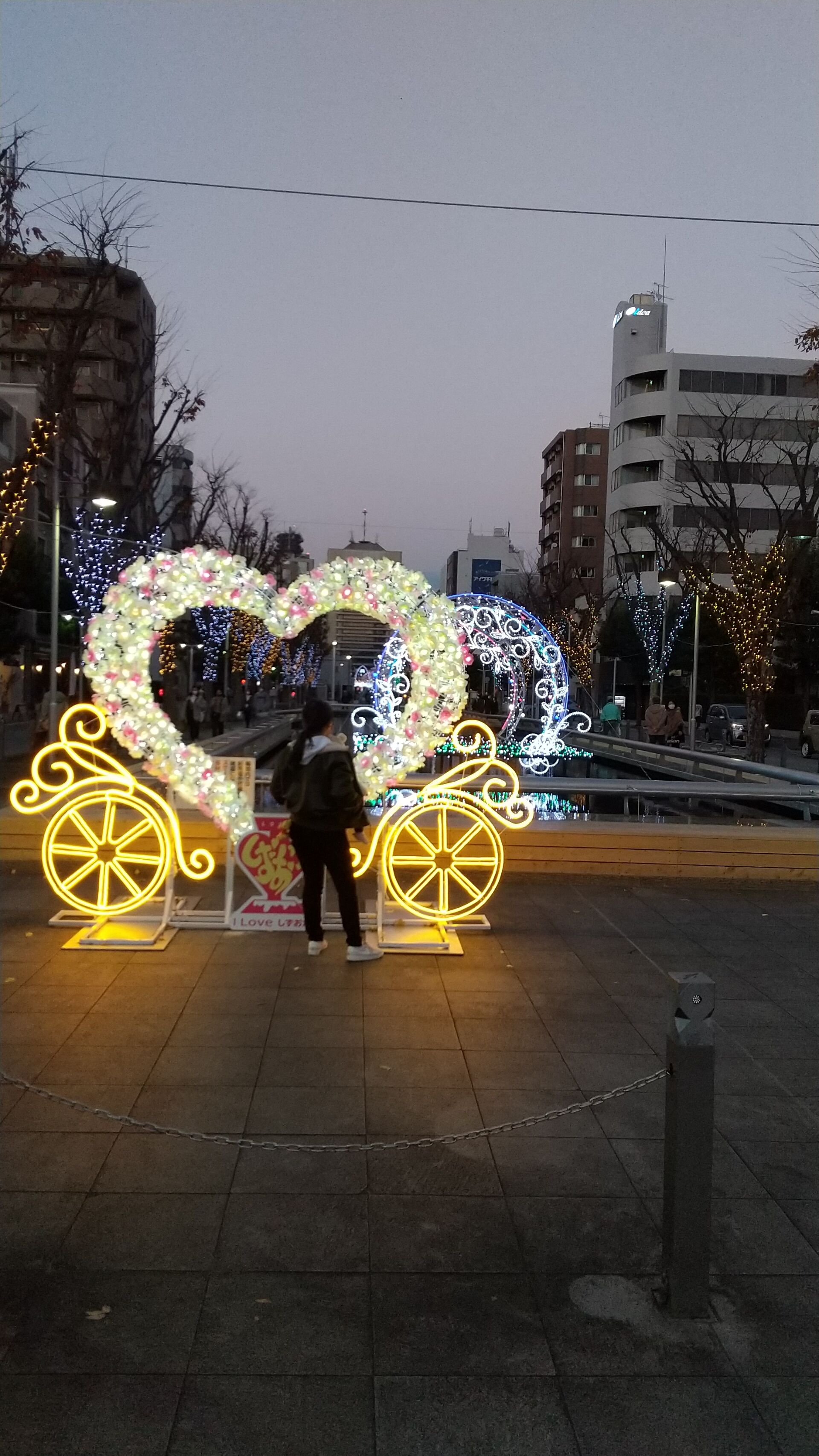 IMG_20211212_164512
