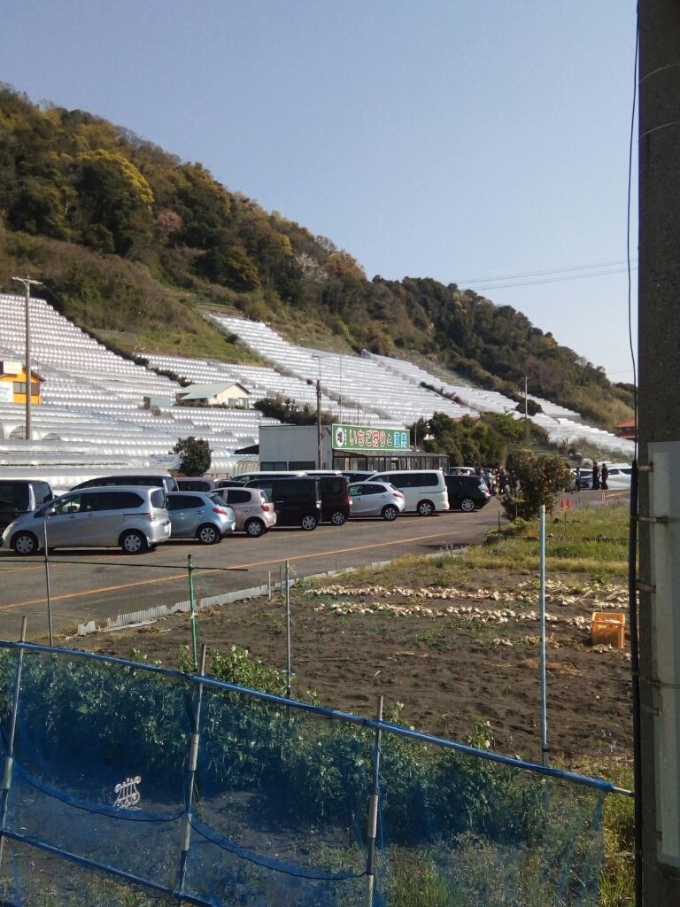 清水港 豪華客船ドーンプリンセスの寄港 のりたかblog