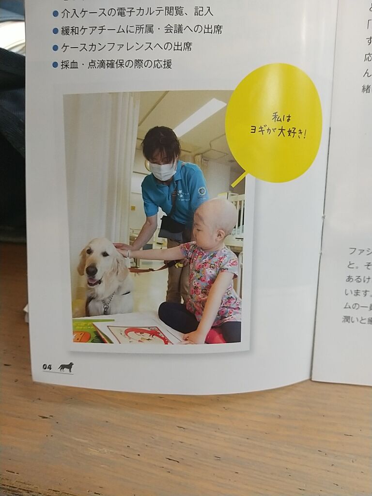 締切 元なでしこジャパン主将 宮間あやさん のりたかblog