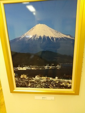 IMG_20210220_141337