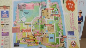 IMG_20210323_132232