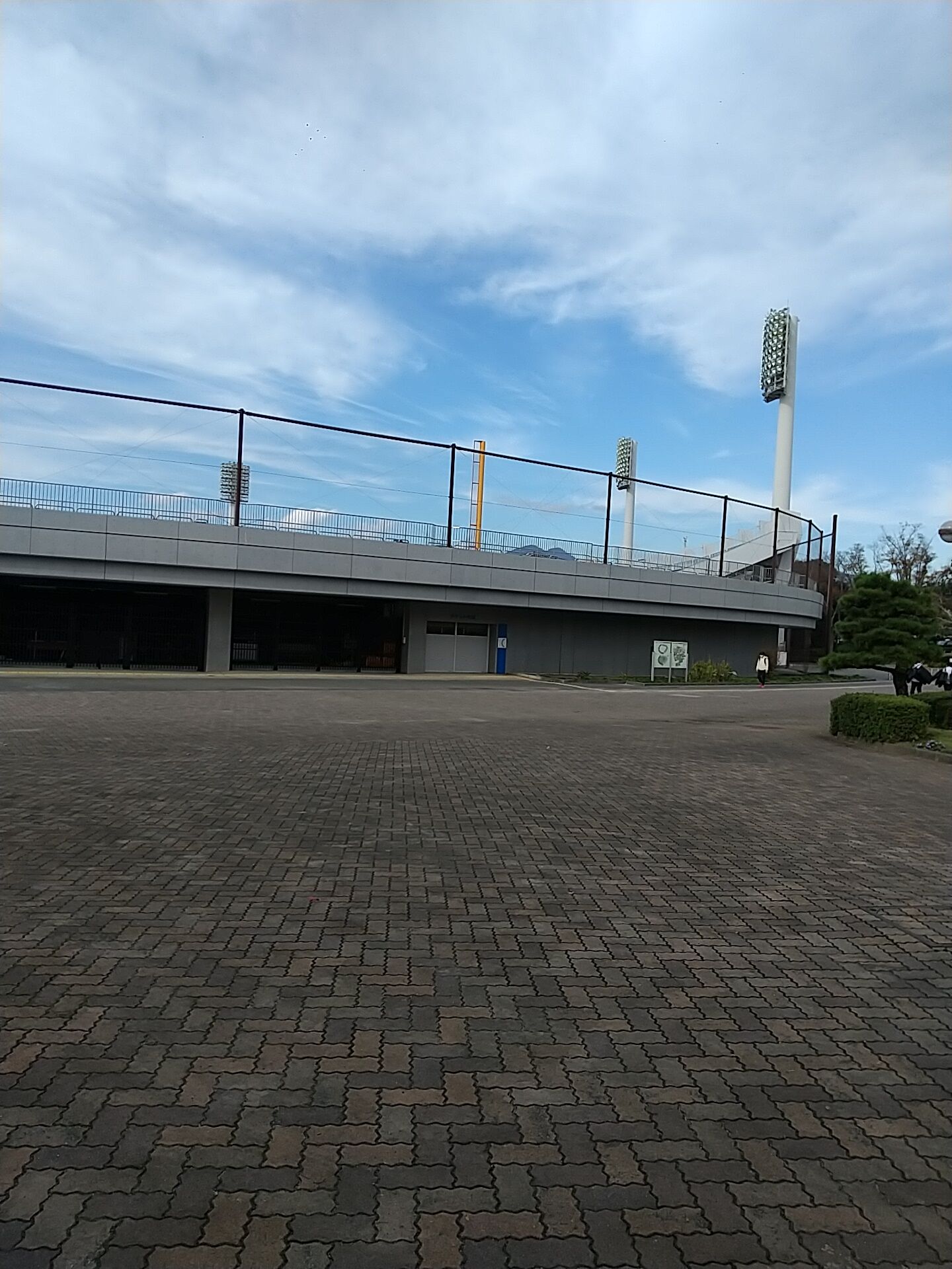 IMG_20221203_131029