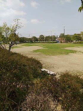 IMG_20210331_105617