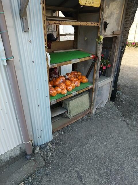 IMG_20230121_085440