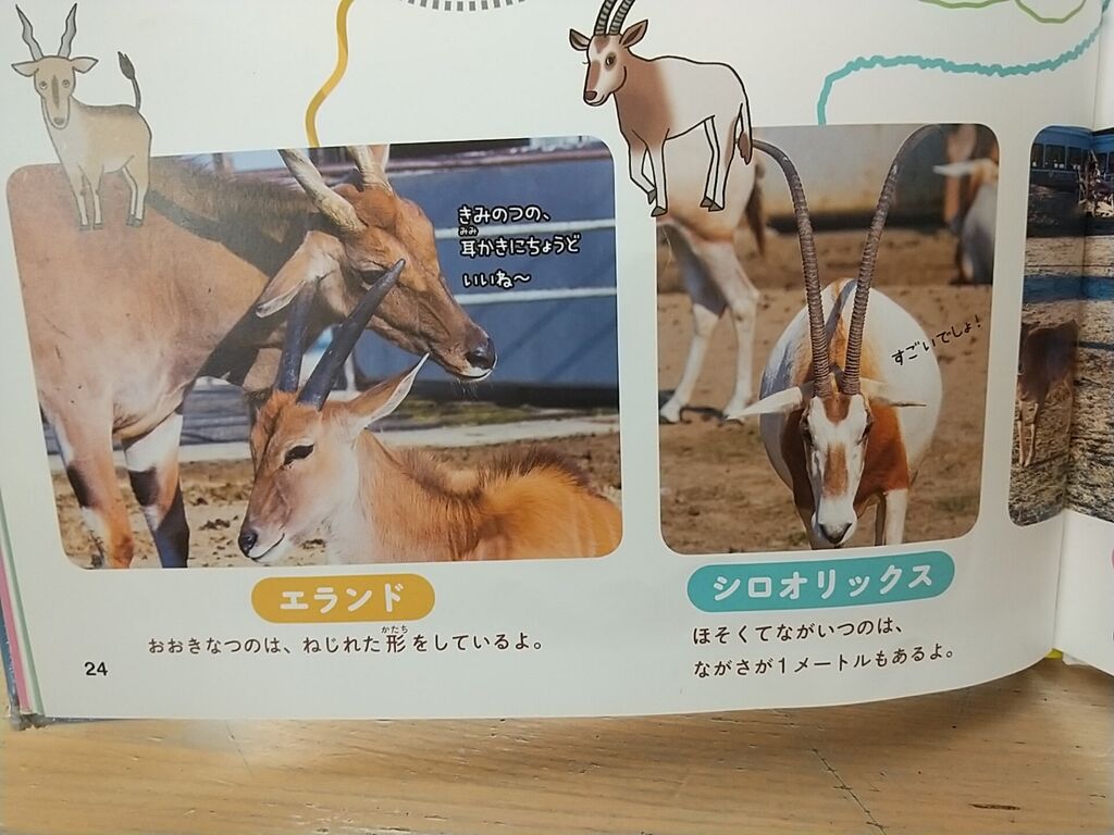 キリンのひみつ のりたかblog キリンのひみつ のりたかblog