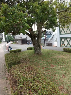 IMG_20210627_141756