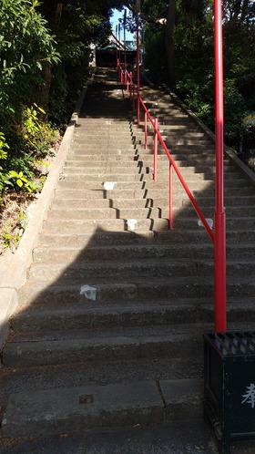 IMG_20201225_101345