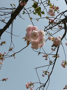 IMG_20210331_113842