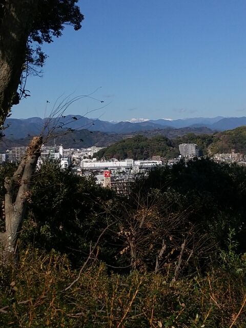 IMG_20221228_123058