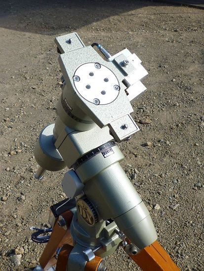 コンゴDR 大型 赤道州 トルクアタ 83mm コンゴDR 大型 赤道州 トルクアタ 83mm