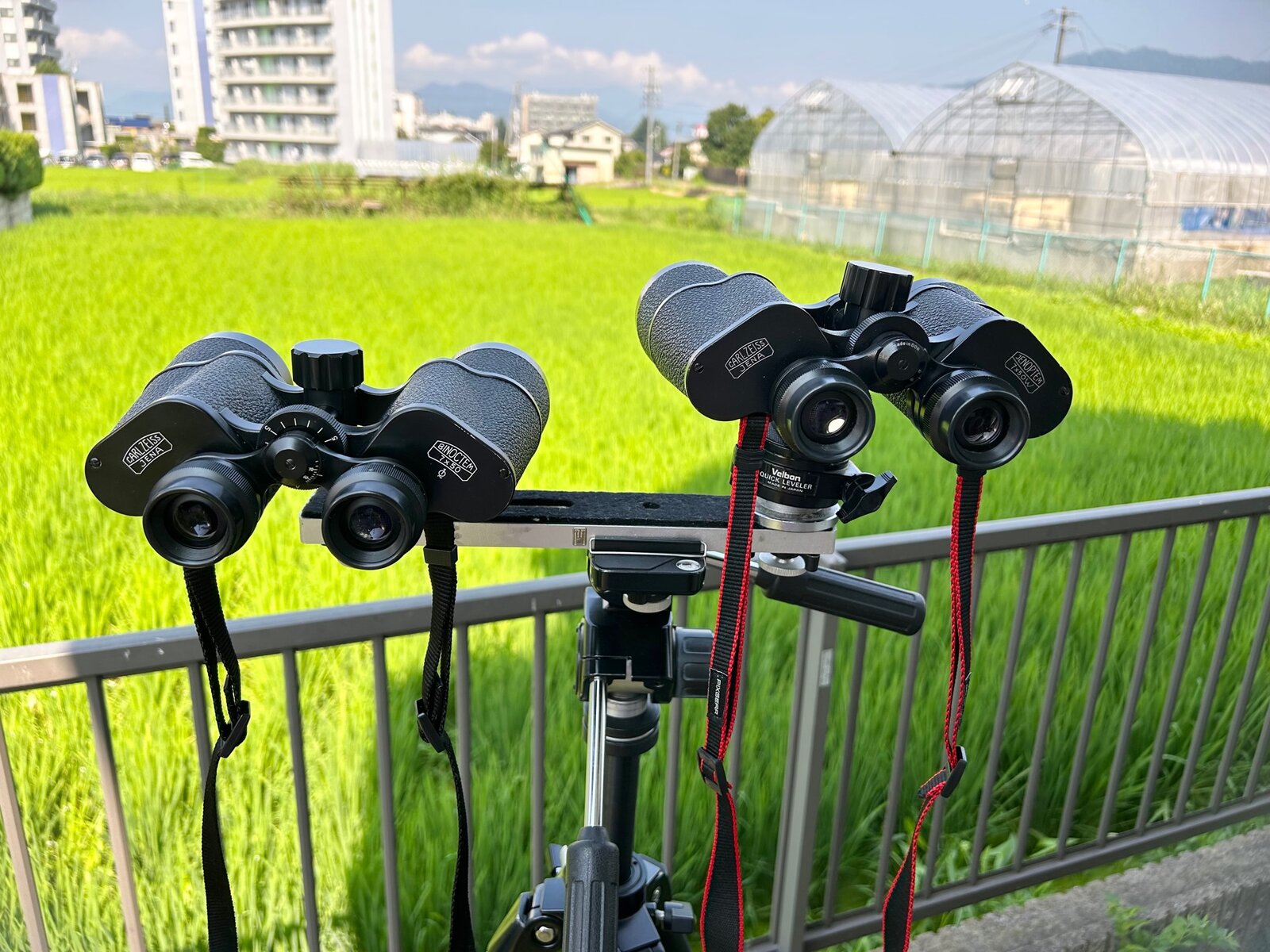 CARL ZEISS JENA 7×50双眼鏡3機種比較 : Across the Universe