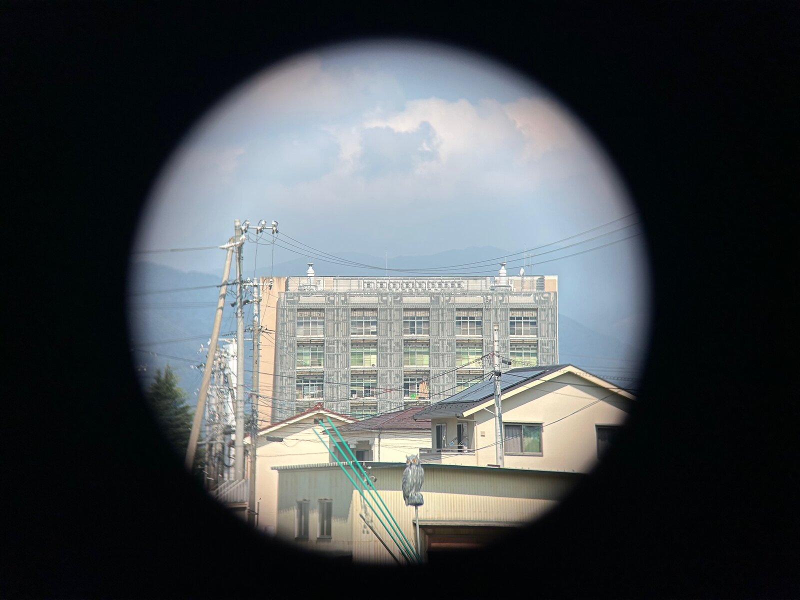 carl zeiss 独製 名機 JENA BINOCTEM 7×50 双眼鏡 carl zeiss 独製 名機 JENA BINOCTEM 7×50 双眼鏡