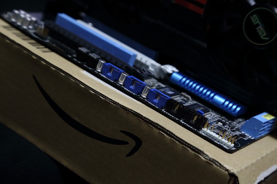 AMAZONȢ_06