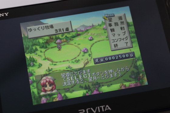 vita-05