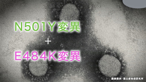 変異株 東京予想aa 0428