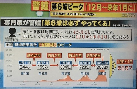 「第6波」は?  ピークは?
