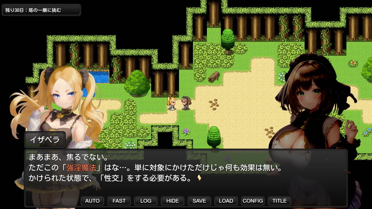 背徳のエリシア ～寝取られ人妻魔導士～ [スタジオVR]