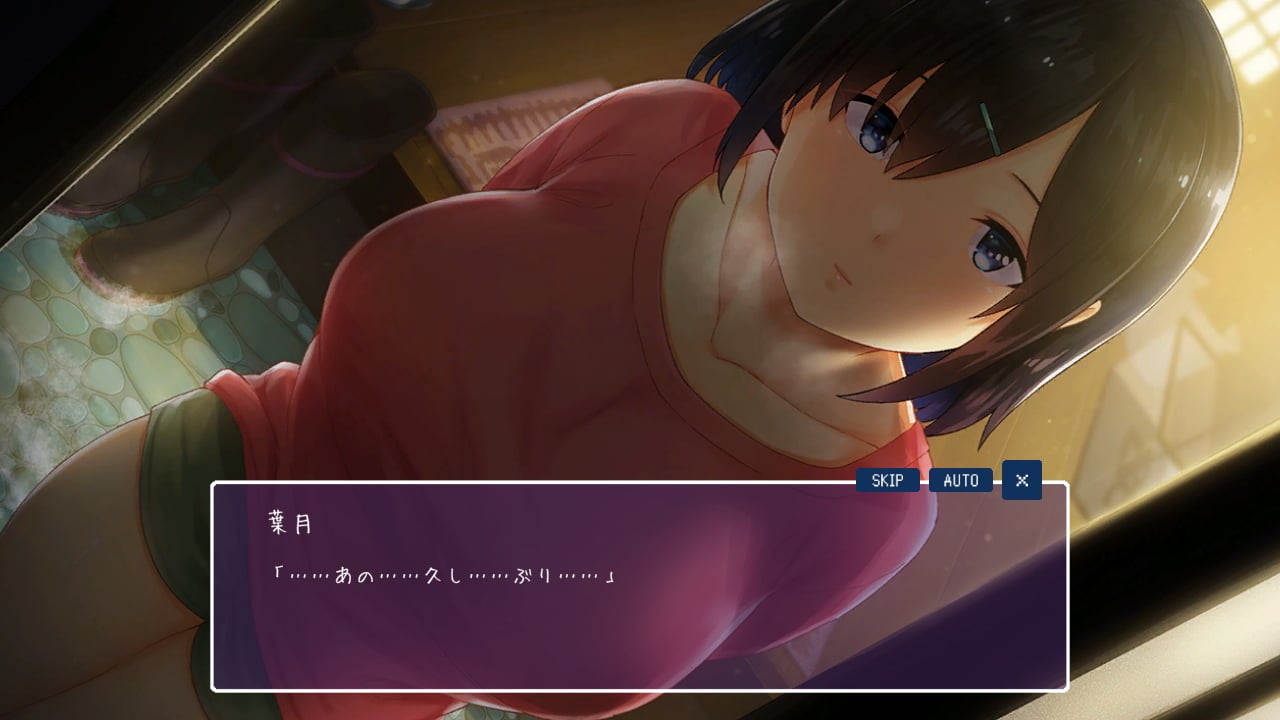 WINTER-田舎の性活-【攻略】 [ディーゼルマイン]