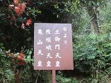 イメージ 12