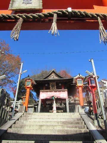 イメージ 9