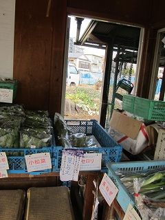 イメージ 6