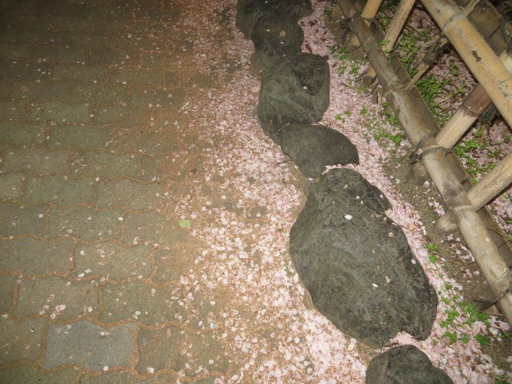 イメージ 5