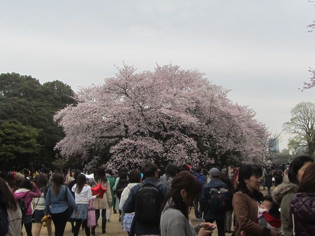 イメージ 5